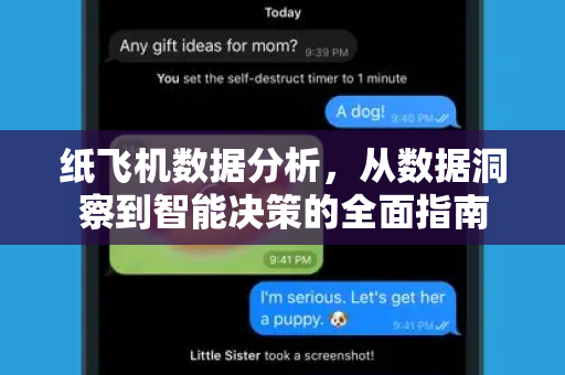 纸飞机数据分析，从数据洞察到智能决策的全面指南