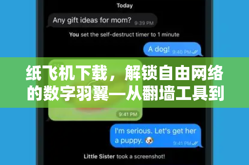 纸飞机下载，解锁自由网络的数字羽翼—从翻墙工具到信息桥梁的深度解析-第1张图片-纸飞机下载 - 纸飞机全平台安装 | 纸飞机中文官网