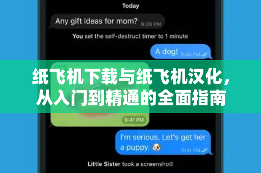 纸飞机下载与纸飞机汉化，从入门到精通的全面指南-第1张图片-纸飞机下载 - 纸飞机全平台安装 | 纸飞机中文官网