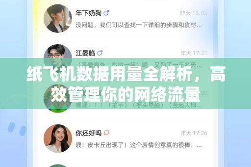 纸飞机数据用量全解析，高效管理你的网络流量-第1张图片-纸飞机下载 - 纸飞机全平台安装 | 纸飞机中文官网