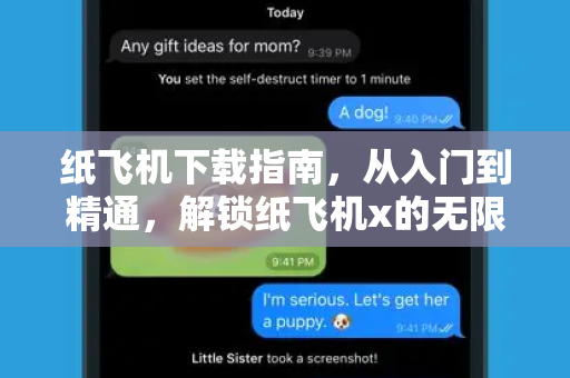 纸飞机下载指南，从入门到精通，解锁纸飞机x的无限可能