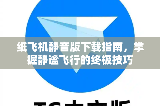 纸飞机静音版下载指南，掌握静谧飞行的终极技巧