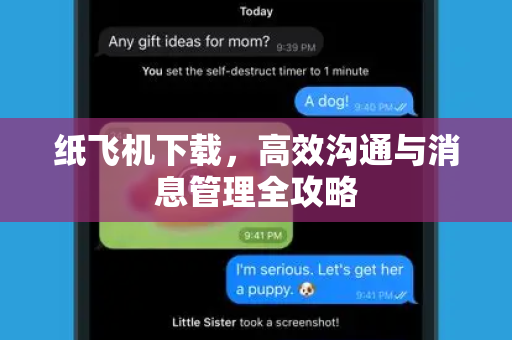 纸飞机下载，高效沟通与消息管理全攻略