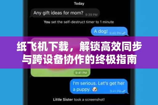 纸飞机下载，解锁高效同步与跨设备协作的终极指南
