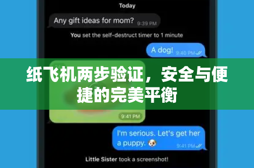 纸飞机两步验证，安全与便捷的完美平衡-第1张图片-纸飞机下载 - 纸飞机全平台安装 | 纸飞机中文官网