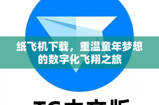 纸飞机下载，重温童年梦想的数字化飞翔之旅