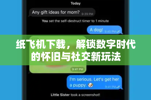 纸飞机下载，解锁数字时代的怀旧与社交新玩法