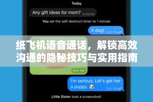 纸飞机语音通话，解锁高效沟通的隐秘技巧与实用指南