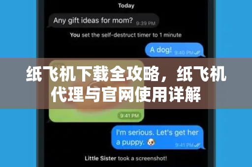 纸飞机下载全攻略，纸飞机代理与官网使用详解