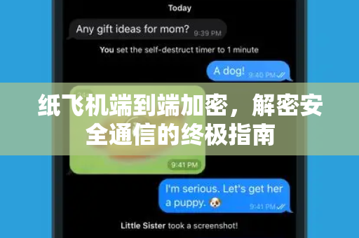 纸飞机端到端加密，解密安全通信的终极指南