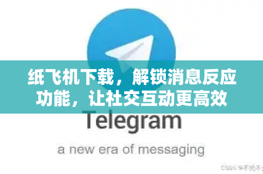纸飞机下载，解锁消息反应功能，让社交互动更高效