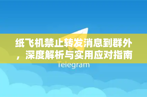 纸飞机禁止转发消息到群外，深度解析与实用应对指南