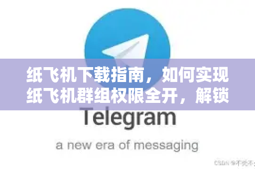 纸飞机下载指南，如何实现纸飞机群组权限全开，解锁极致沟通体验