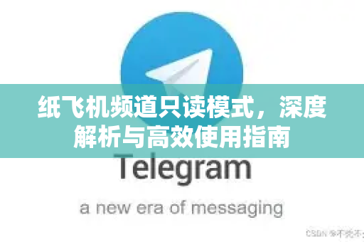 纸飞机频道只读模式，深度解析与高效使用指南