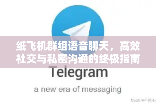 纸飞机群组语音聊天，高效社交与私密沟通的终极指南