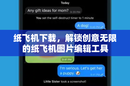 纸飞机下载，解锁创意无限的纸飞机图片编辑工具