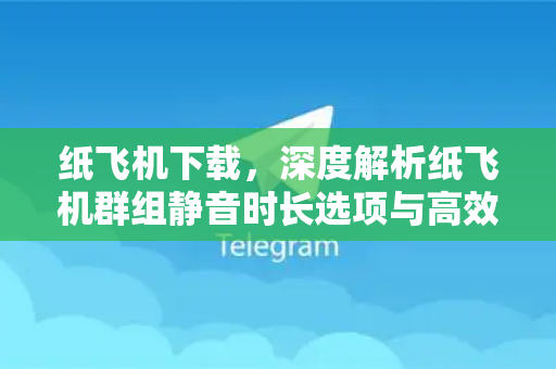 纸飞机下载，深度解析纸飞机群组静音时长选项与高效沟通技巧