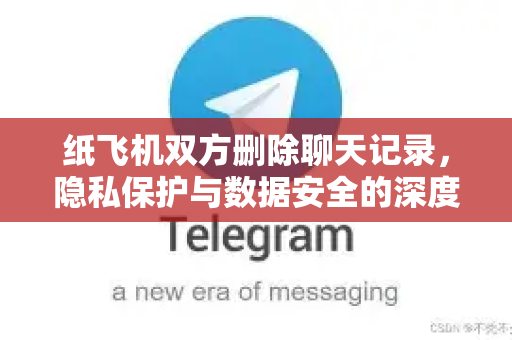 纸飞机双方删除聊天记录，隐私保护与数据安全的深度解析