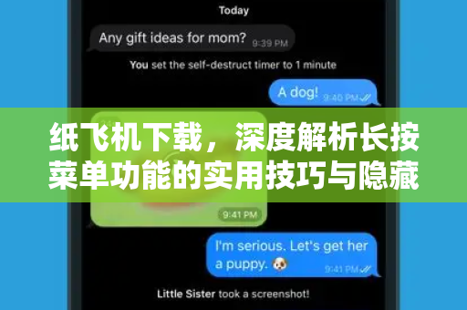 纸飞机下载，深度解析长按菜单功能的实用技巧与隐藏玩法