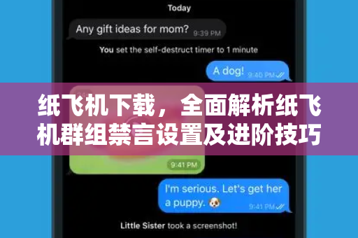 纸飞机下载,全面解析纸飞机群组禁言设置及进阶技巧-第1张图片-纸飞机下载 - 纸飞机全平台安装 | 纸飞机中文官网 纸飞机下载,全面解析纸飞机群组禁言设置及进阶技巧-第1张图片-纸飞机下载 - 纸飞机全平台安装 | 纸飞机中文官网