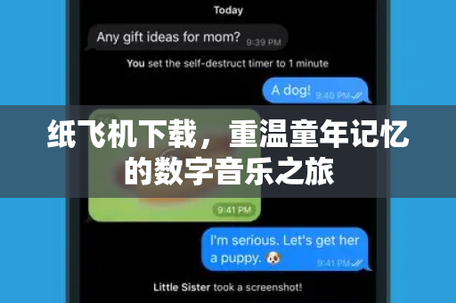 纸飞机下载，重温童年记忆的数字音乐之旅