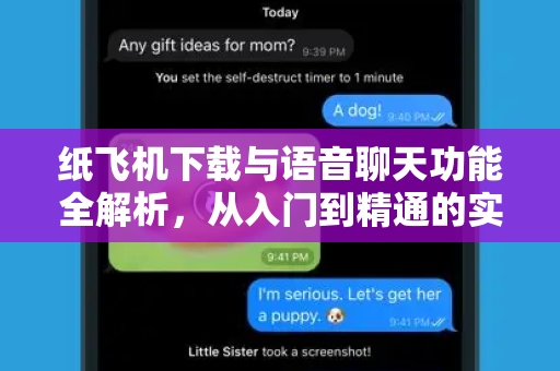 纸飞机下载与语音聊天功能全解析，从入门到精通的实用指南