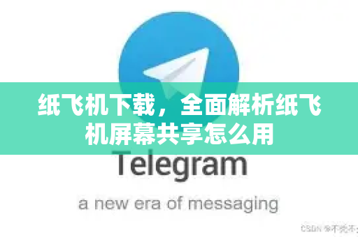 纸飞机下载，全面解析纸飞机屏幕共享怎么用