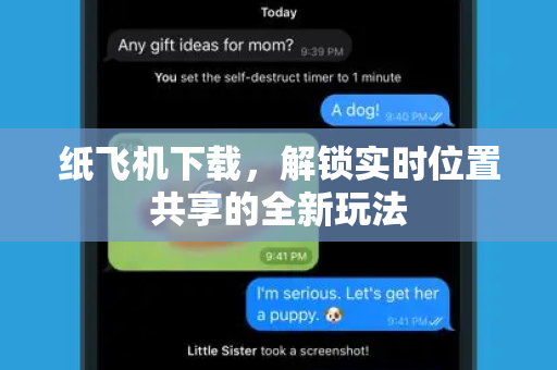 纸飞机下载，解锁实时位置共享的全新玩法