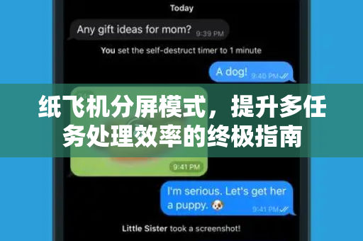 纸飞机分屏模式，提升多任务处理效率的终极指南-第1张图片-纸飞机下载 - 纸飞机全平台安装 | 纸飞机中文官网