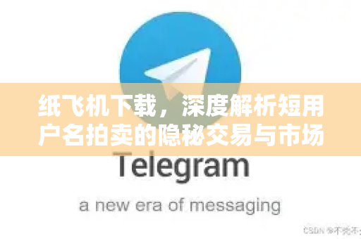 纸飞机下载，深度解析短用户名拍卖的隐秘交易与市场价值-第1张图片-纸飞机下载 - 纸飞机全平台安装 | 纸飞机中文官网