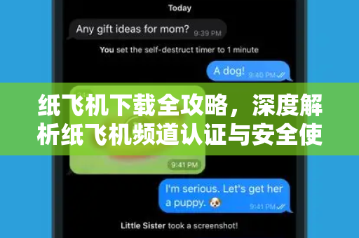 纸飞机下载全攻略，深度解析纸飞机频道认证与安全使用指南