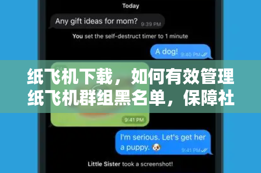 纸飞机下载，如何有效管理纸飞机群组黑名单，保障社群安全与体验