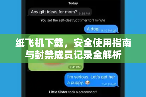 纸飞机下载，安全使用指南与封禁成员记录全解析