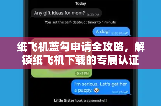 纸飞机蓝勾申请全攻略，解锁纸飞机下载的专属认证