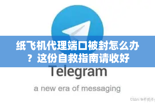 纸飞机代理端口被封怎么办？这份自救指南请收好-第1张图片-纸飞机下载 - 纸飞机全平台安装 | 纸飞机中文官网