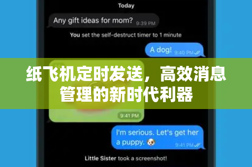 纸飞机定时发送，高效消息管理的新时代利器-第1张图片-纸飞机下载 - 纸飞机全平台安装 | 纸飞机中文官网