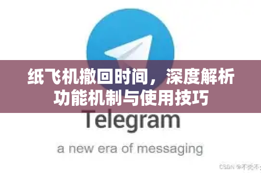 纸飞机撤回时间，深度解析功能机制与使用技巧