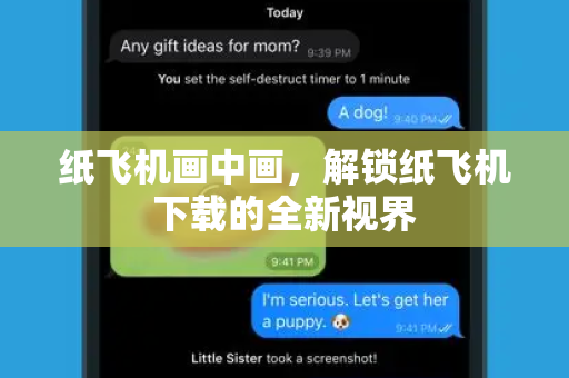 纸飞机画中画，解锁纸飞机下载的全新视界-第1张图片-纸飞机下载 - 纸飞机全平台安装 | 纸飞机中文官网