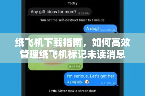 纸飞机下载指南，如何高效管理纸飞机标记未读消息-第1张图片-纸飞机下载 - 纸飞机全平台安装 | 纸飞机中文官网